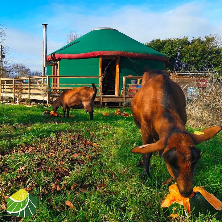 Glamping Deutschland